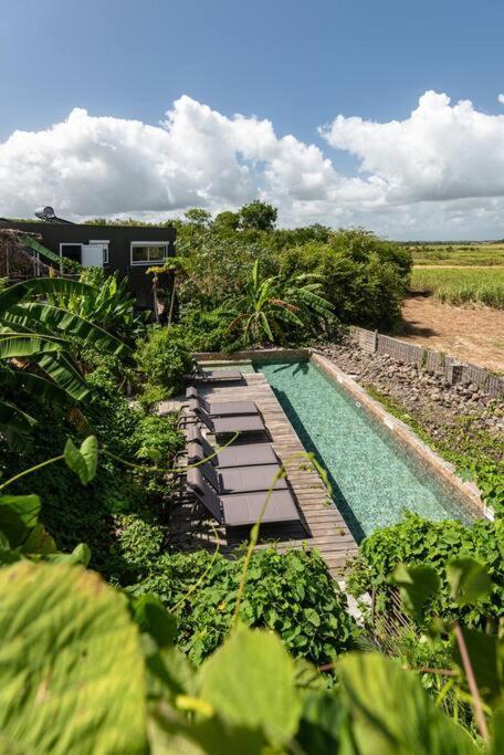 T3 Lumineux Avec Vue Exceptionnelle Et Piscine Oasis De Nature Et Serenite Petit-Canal ภายนอก รูปภาพ