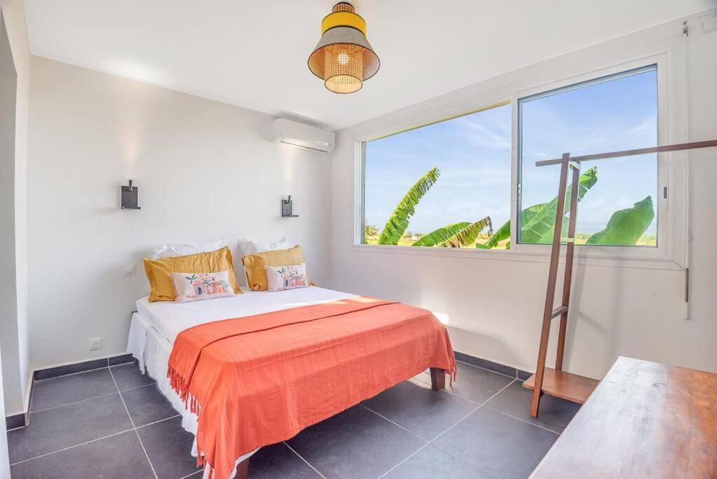 T3 Lumineux Avec Vue Exceptionnelle Et Piscine Oasis De Nature Et Serenite Petit-Canal ภายนอก รูปภาพ
