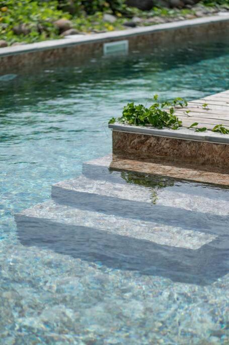 T3 Lumineux Avec Vue Exceptionnelle Et Piscine Oasis De Nature Et Serenite Petit-Canal ภายนอก รูปภาพ