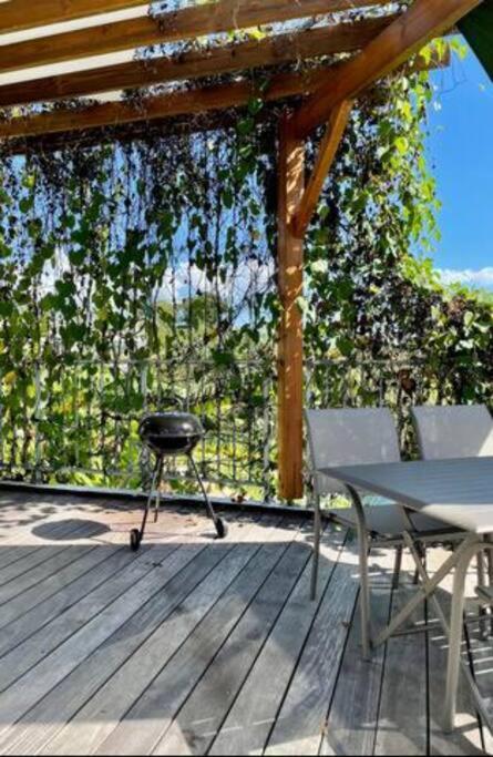 T3 Lumineux Avec Vue Exceptionnelle Et Piscine Oasis De Nature Et Serenite Petit-Canal ภายนอก รูปภาพ