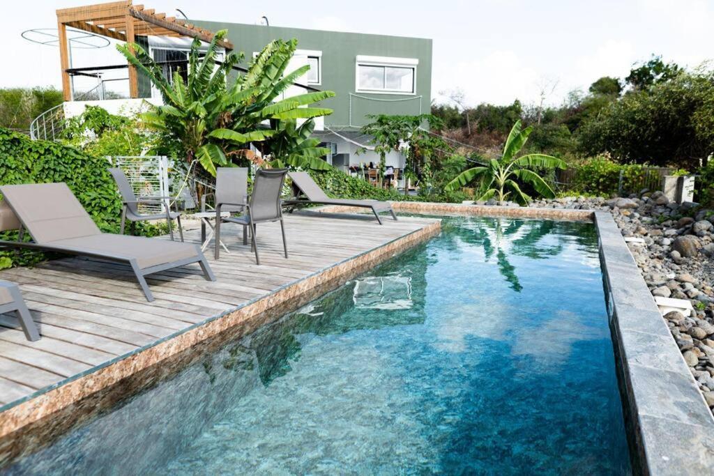 T3 Lumineux Avec Vue Exceptionnelle Et Piscine Oasis De Nature Et Serenite Petit-Canal ภายนอก รูปภาพ